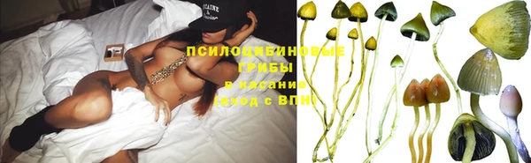 МДПВ Алзамай
