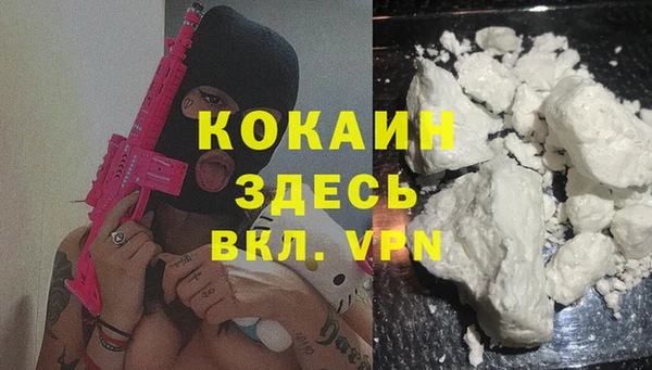 МДПВ Алзамай