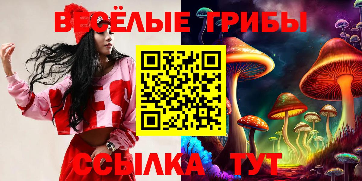 Аша  Псилоцибиновые грибы мицелий  Вход с VPN 