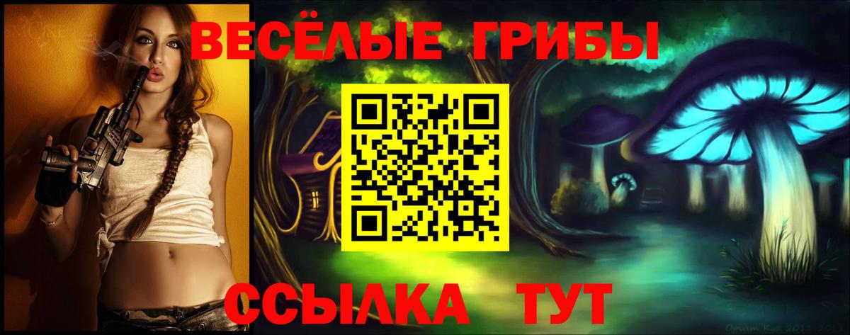 Галлюциногенные грибы Psilocybine cubensis Аша