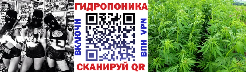 сайты даркнета телеграм Аша Бошки марихуана план